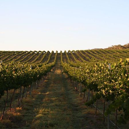 Mayfield Vineyard ออเรนจ์ ภายนอก รูปภาพ