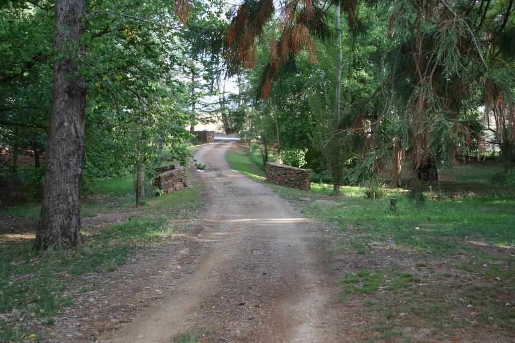 Mayfield Vineyard ออเรนจ์ ภายนอก รูปภาพ