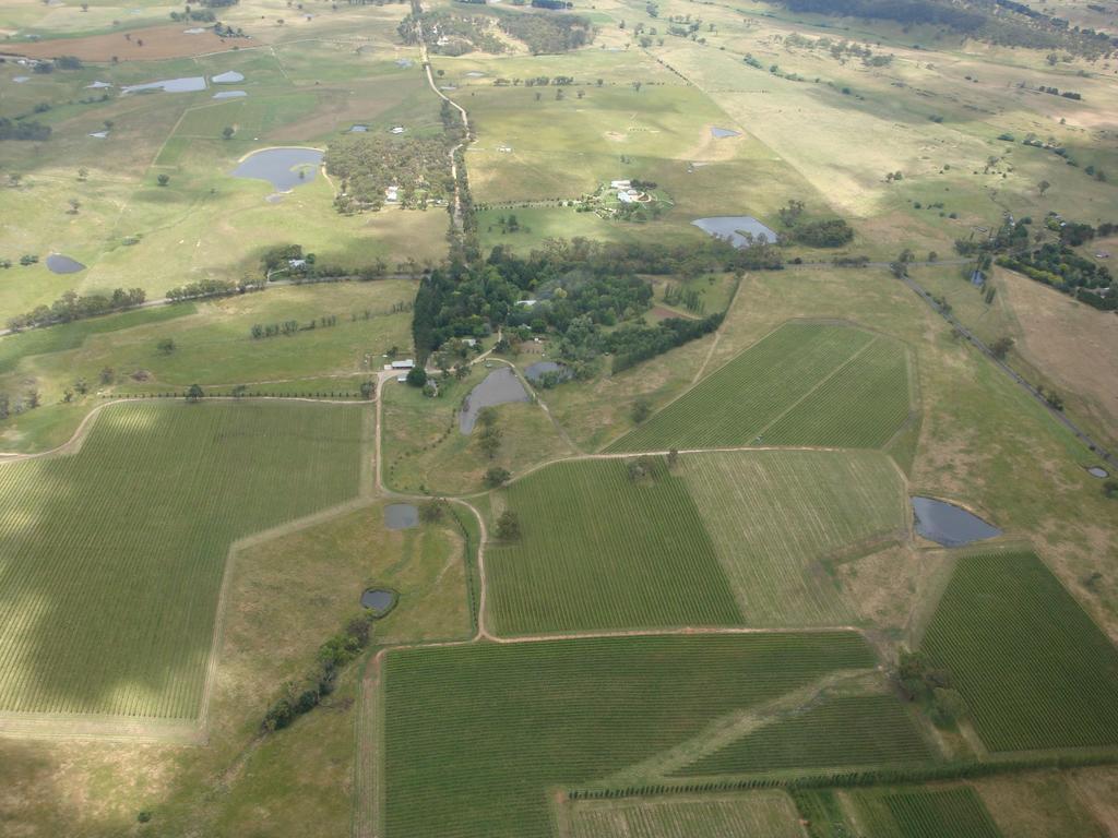 Mayfield Vineyard ออเรนจ์ ภายนอก รูปภาพ
