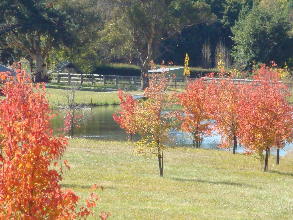 Mayfield Vineyard ออเรนจ์ ภายนอก รูปภาพ