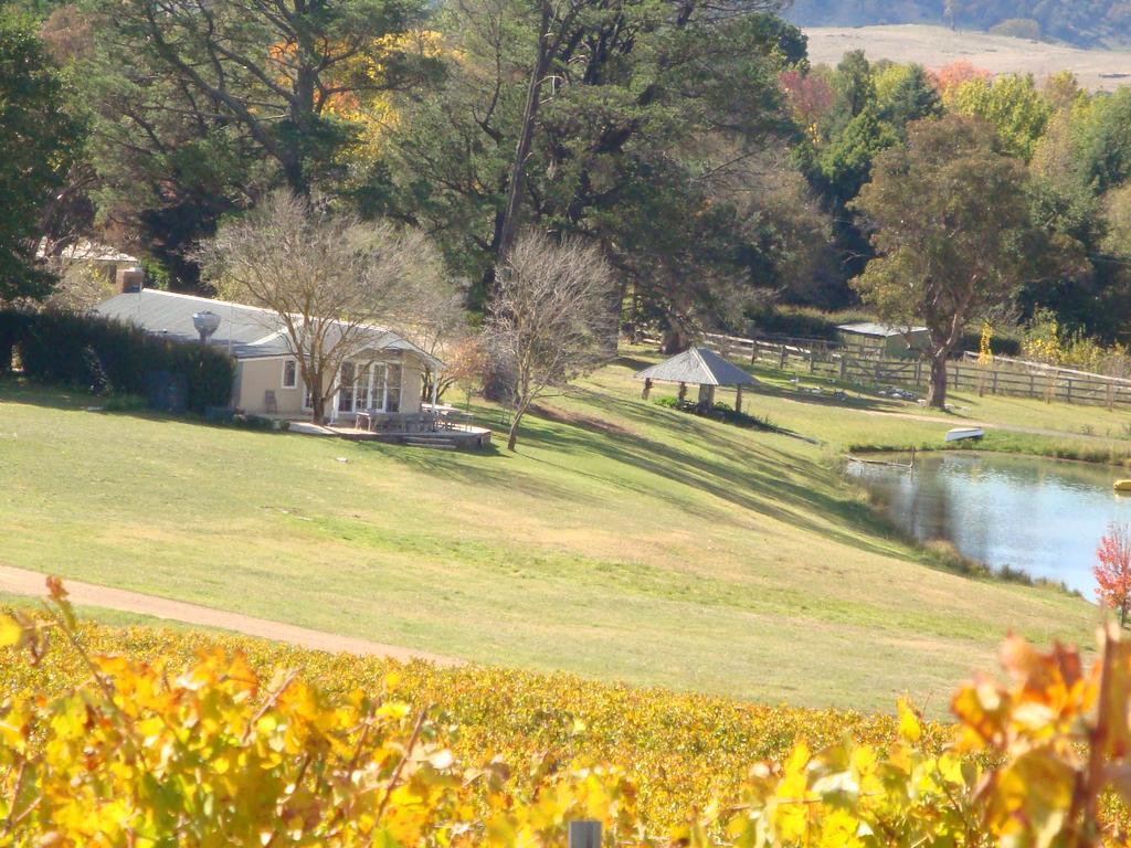Mayfield Vineyard ออเรนจ์ ภายนอก รูปภาพ