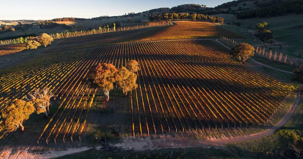Mayfield Vineyard ออเรนจ์ ภายนอก รูปภาพ