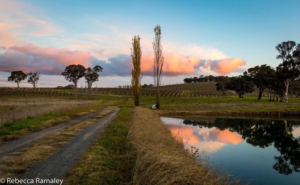 Mayfield Vineyard ออเรนจ์ ภายนอก รูปภาพ